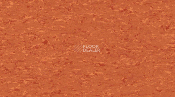 Линолеум Gerflor Mipolam Accord 0315 ORANGE RIVER фото 1 | FLOORDEALER